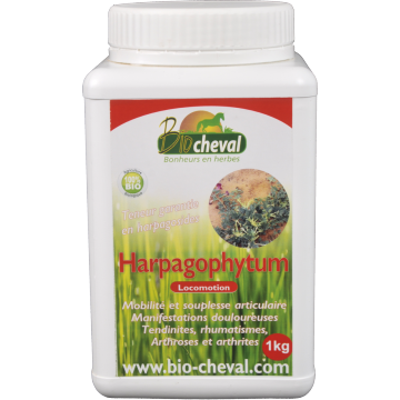 Bio Harpago 1 Kg Bio Harpago 1 Kg