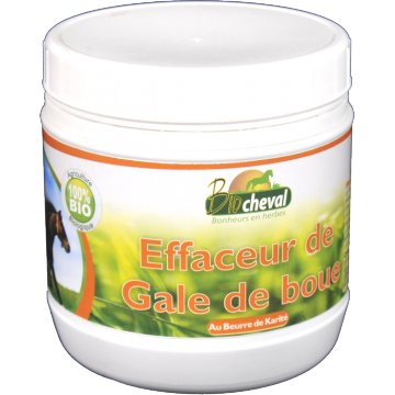 Dermios Gale de boue Dermios Gale de boue