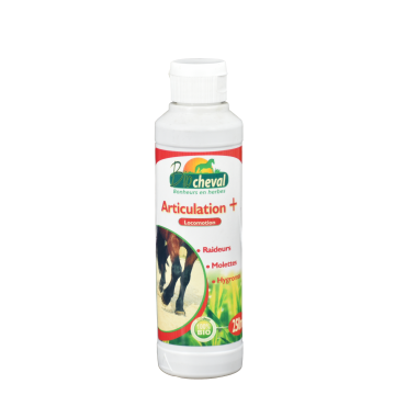 Articulation + Huile de massage 250 ml Articulation + Huile de massage 250 ml