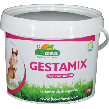 Gestamix Gestamix