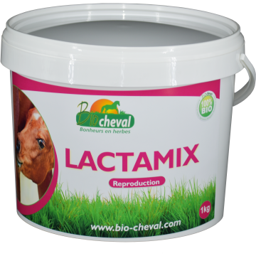 Lactamix 1kg Lactamix 1kg