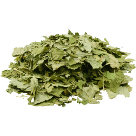 It is also a useful plant for combating allergies and diarrhoea.