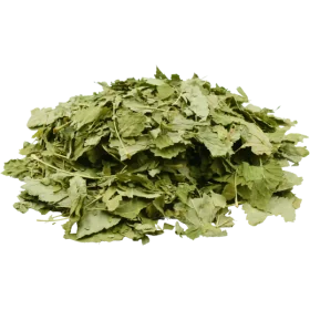 It is also a useful plant for combating allergies and diarrhoea.