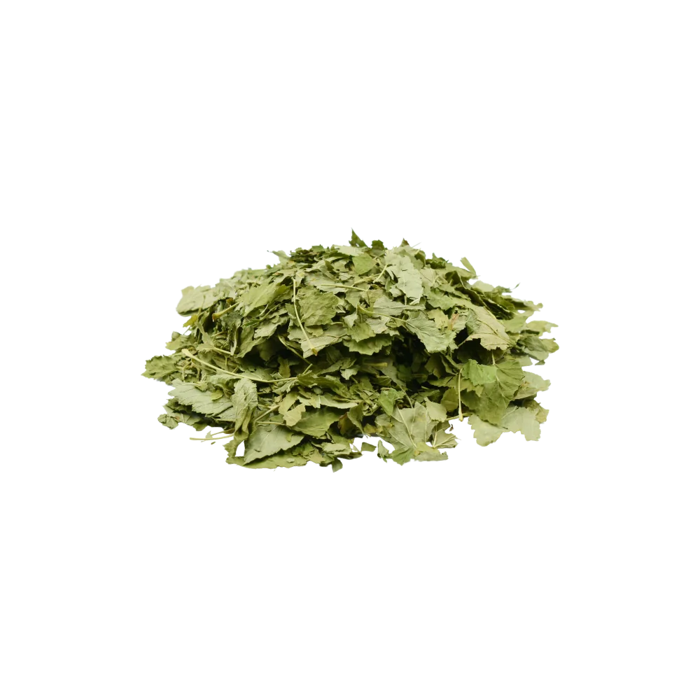 It is also a useful plant for combating allergies and diarrhoea.