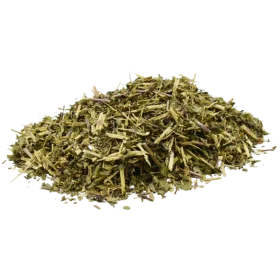 La menthe contribue en outre à réguler l'activité parasitaire.