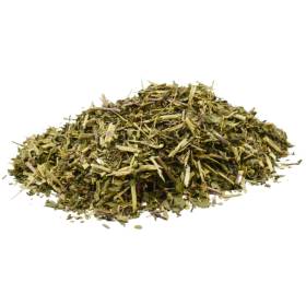 Mint also helps to regulate parasite activity.