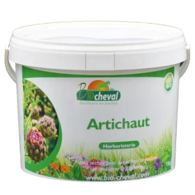Alcachofa - Orgánica - Detox, Hígado, Recuperación - 1kg