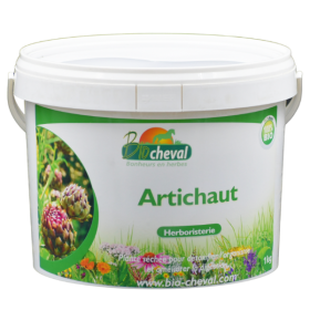Bio-Artischocke 1kg