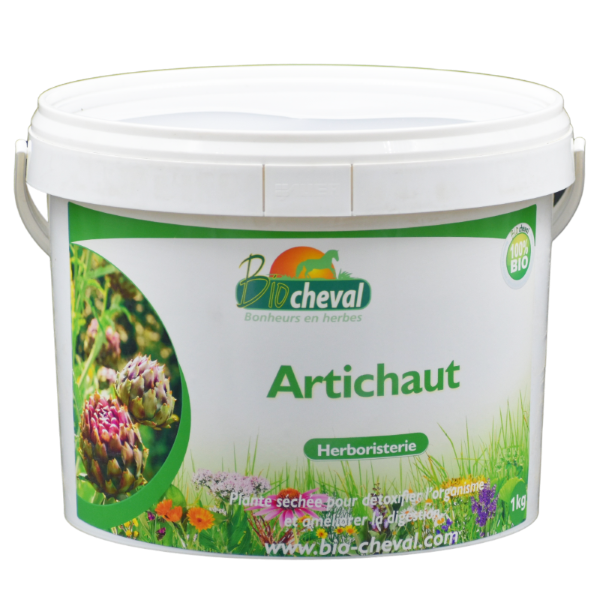 Alcachofa ecológica 1kg