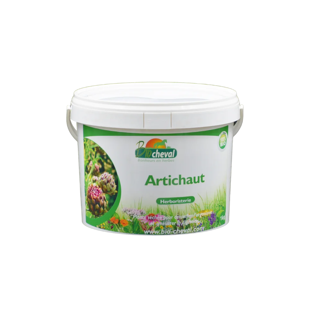 Alcachofa - Orgánica - Detox, Hígado, Recuperación - 1kg