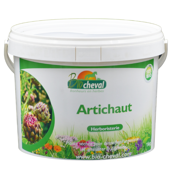 Artichaut - Bio - Détox, Foie, Récupération - 1kg