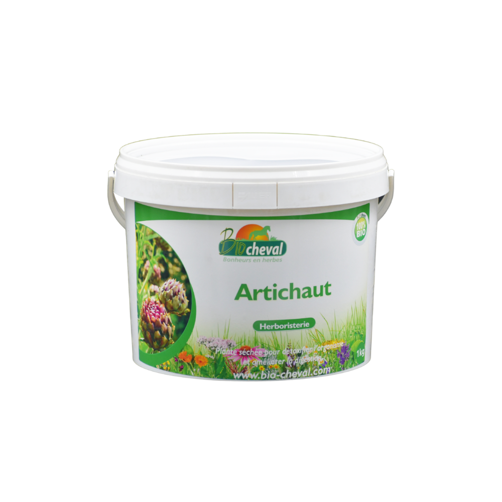 Carciofo - Biologico - Disintossicante, Fegato, Recupero - 1kg