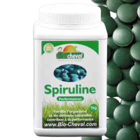 Bio Spirulina für Pferde, Esel, Ponys