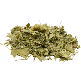 Plantas medicinales para el cushing