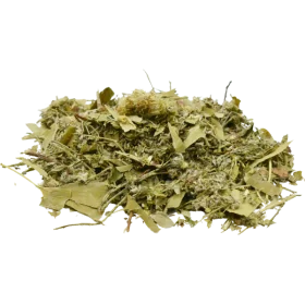 Plantas medicinales para el cushing