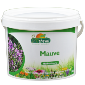 La malva, cugina dell'altea, aiuta la respirazione e la digestione.