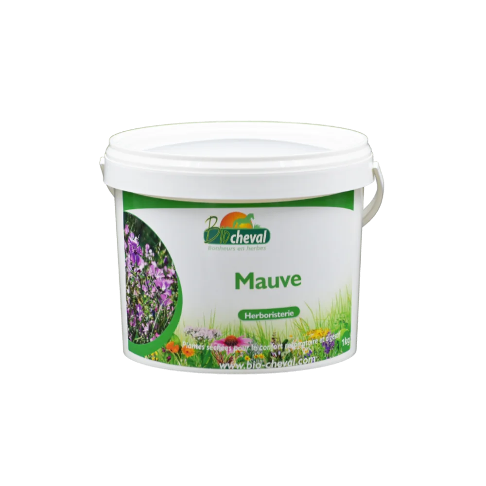 Mallow, een neef van marshmallow, helpt bij de ademhaling en spijsvertering.