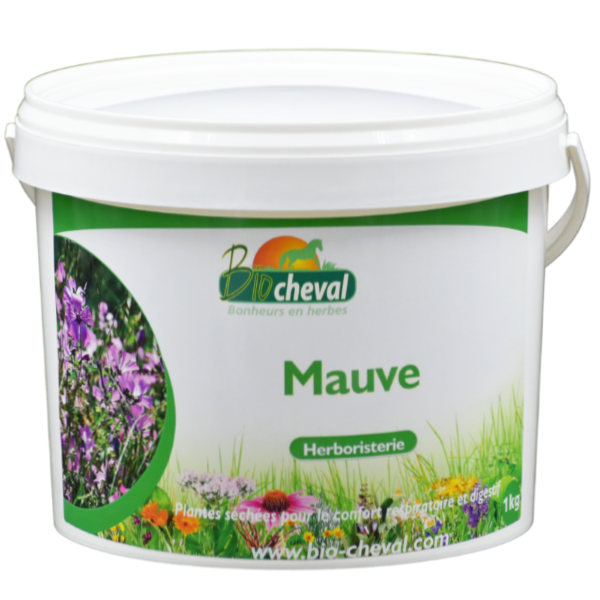 Malva, un primo del malvavisco para la respiración y la digestión.