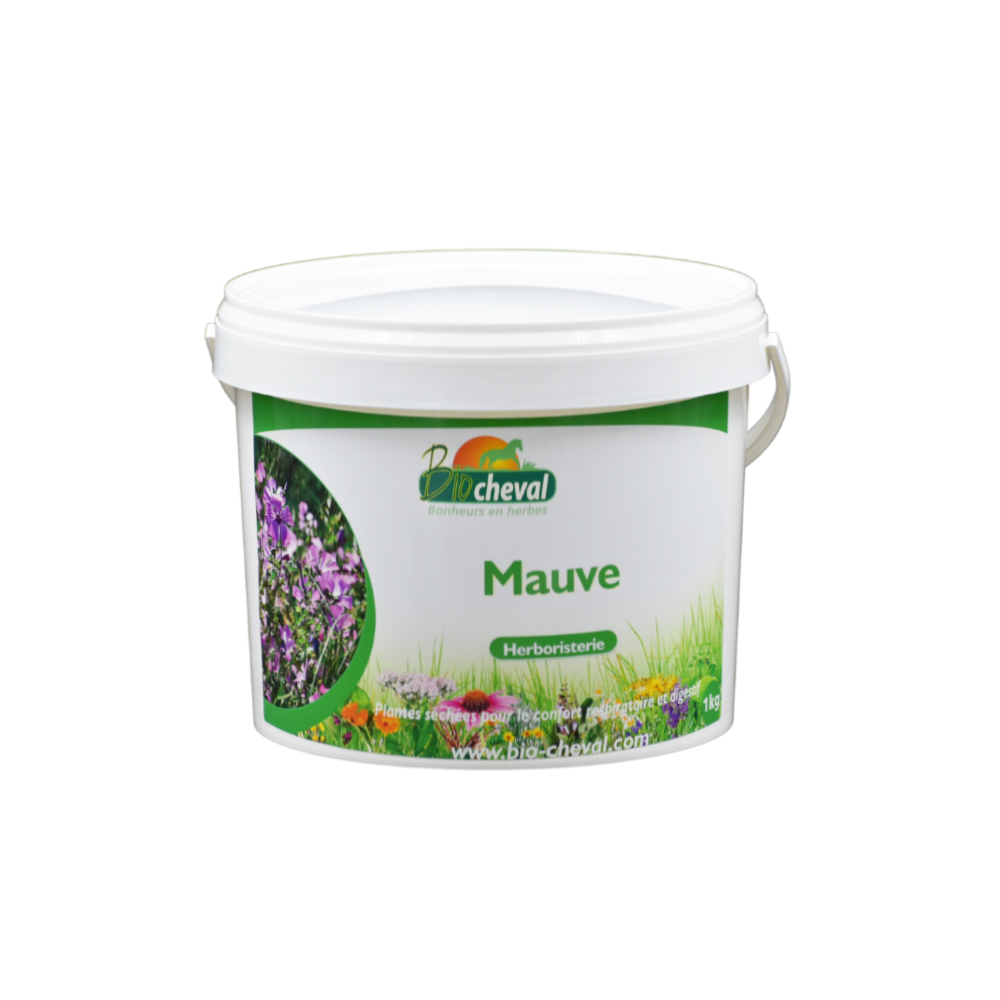 A malva, uma prima do marshmallow, ajuda na respiração e na digestão.