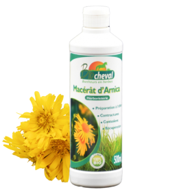 Macerato di arnica biologico per cavalli, asini e pony.