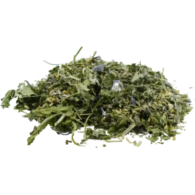 Lactamix - Cavalla che allatta