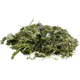 Lactamix - Zogende merrie