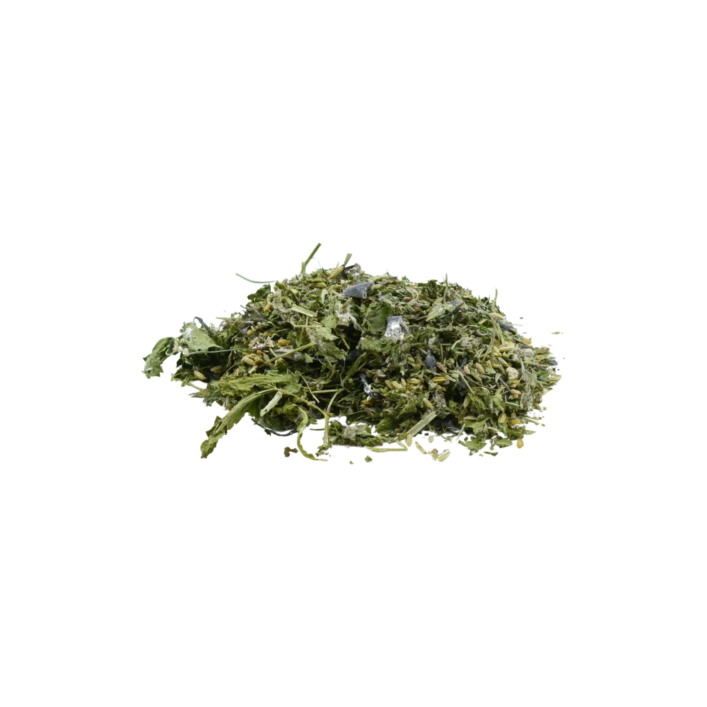 Lactamix - Zogende merrie