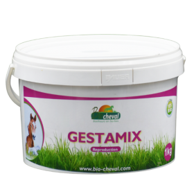 Gestamix