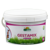 Gestamix