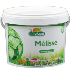 Citroenmelisse - Biologisch - Stress & spijsvertering - 1kg