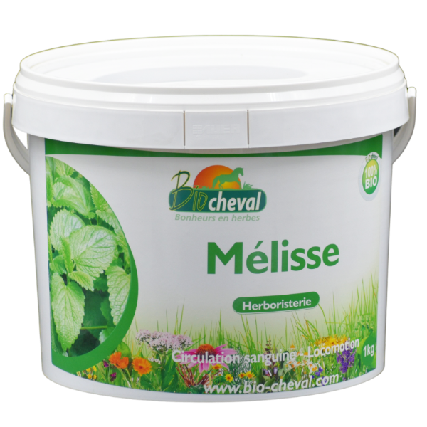 Mélisse - Bio - Stress & digestion