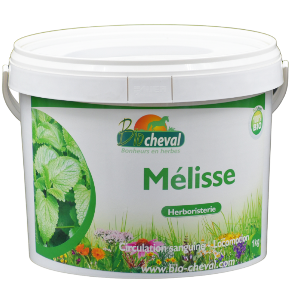 Framboisier - Bio - Chaleurs & diarrhées - 1kg