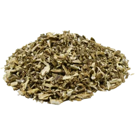 Problemi di pelle e dermatiti