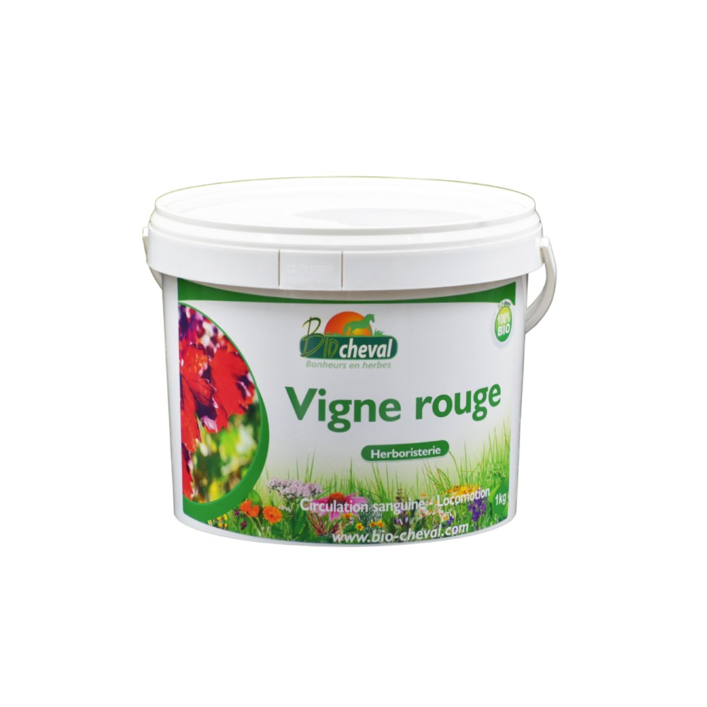 Vite rossa - Biologica - Circolazione, tendini, muscoli - 1kg