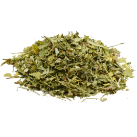 Organic plants horse blackcurrant bilberry dandelion meadowsweet artichoke ginkgo horse chestnut yarrow