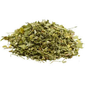 Organic plants horse blackcurrant bilberry dandelion meadowsweet artichoke ginkgo horse chestnut yarrow