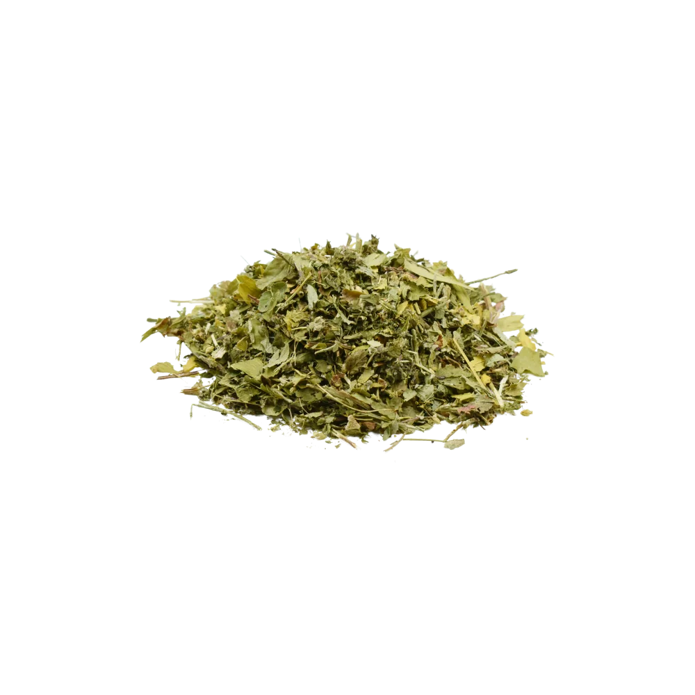 Plantas ecológicas caballo grosellero negro arándano diente de león ulmaria alcachofa ginkgo castaño de indias milenrama