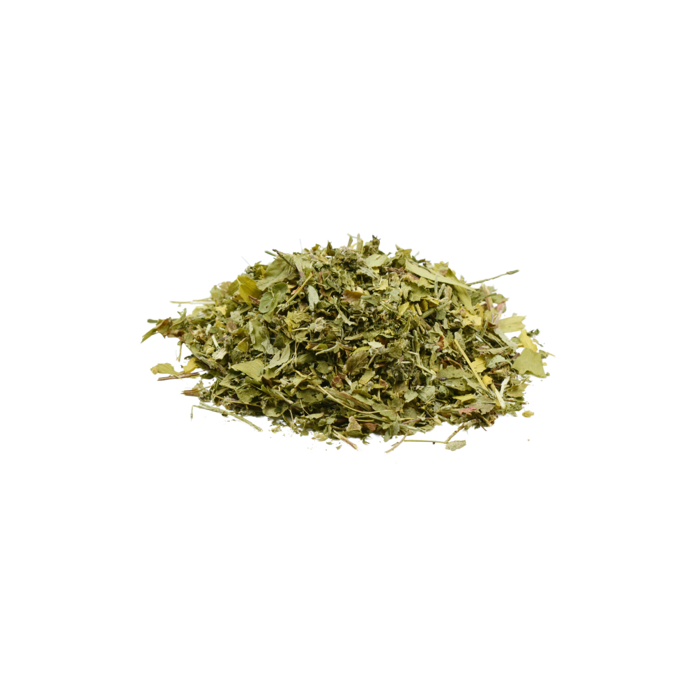 Piante biologiche cavallo ribes nero mirtillo dente di leone olmaria carciofo ginkgo ippocastano achillea