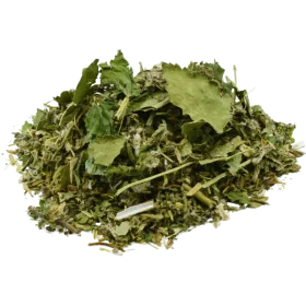 Medicinal plants for equine dermatitis