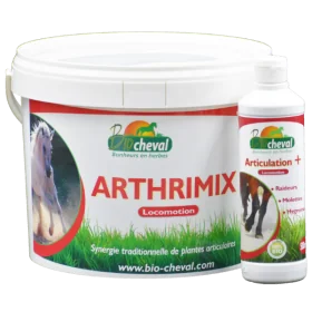 Mobiliteitspakket - Comfort, flexibiliteit & leden