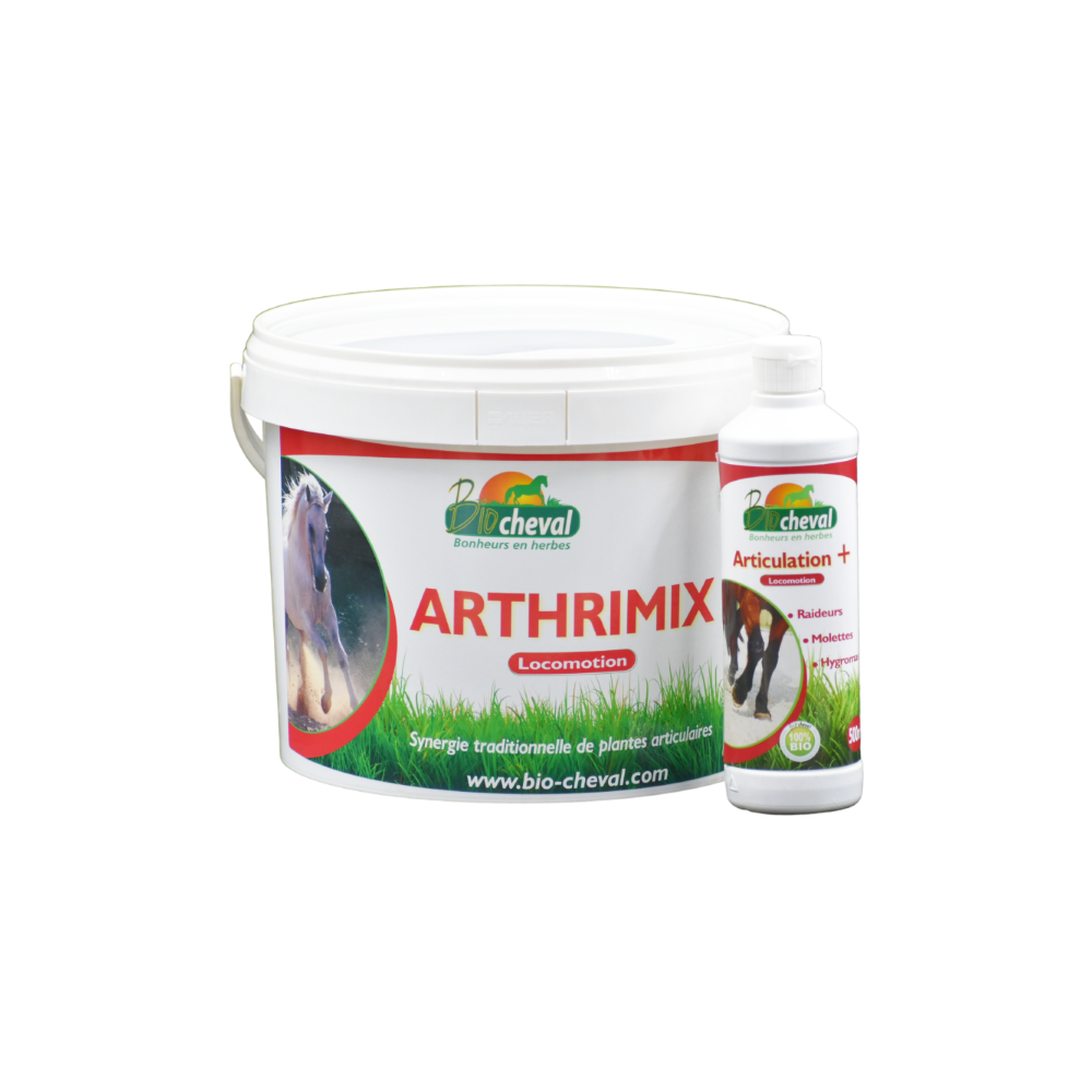 Mobilitätspaket - Komfort, Flexibilität & Mitglieder