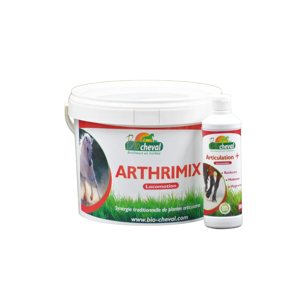 Mobilitätspaket - Komfort, Flexibilität & Mitglieder