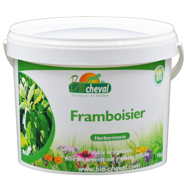 Framboisier, pour les chaleurs douloureuses