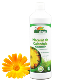 Calendula-Mazerat Pferd Bio 1L Großpackung gegen Juckreiz bei Pferden, Eseln und Ponys