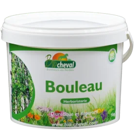 El abedul, una planta desintoxicante para los caballos