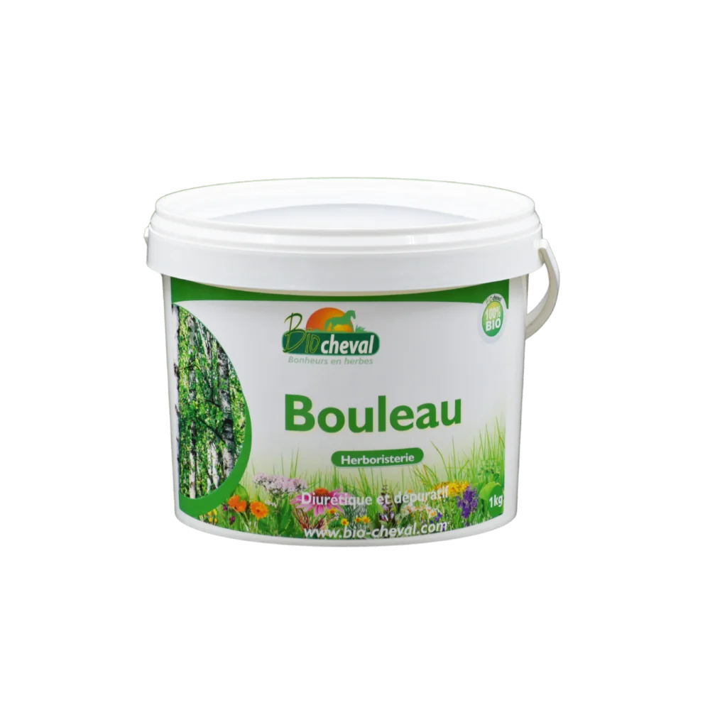 Berk, een ontgiftende plant voor paarden