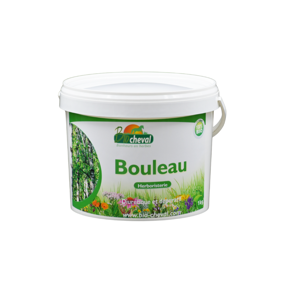 Bétula, uma planta desintoxicante para cavalos