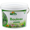 Le bouleau, plante détoxifiante pour les équidés