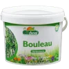 Le bouleau, plante détoxifiante pour les équidés