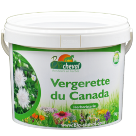 Canada fleabane - Organic - 1 Kg